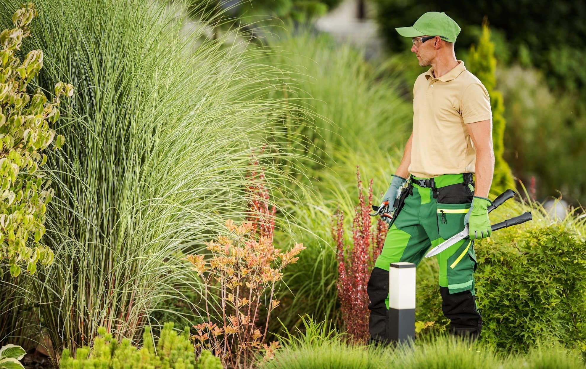 Residential garden care scene representing a local service project